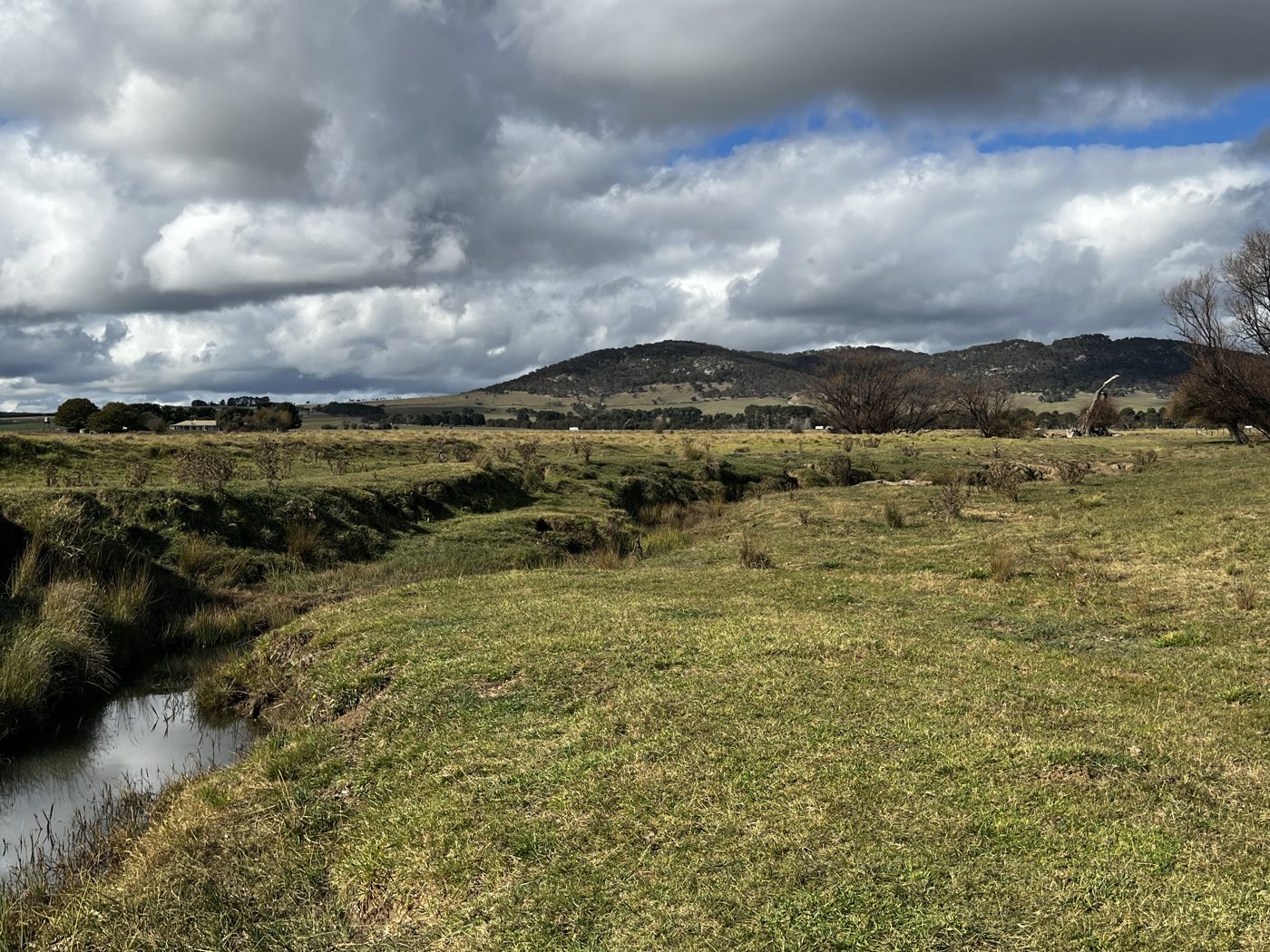 A creek-side landform of the kind the Due Diligence Code associates with Aboriginal objects, capital region NSW